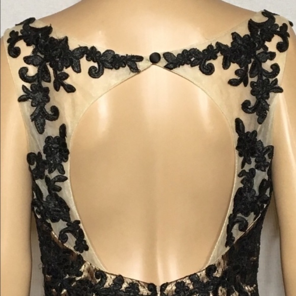 Lace Evening Gown - Picture 5 of 5